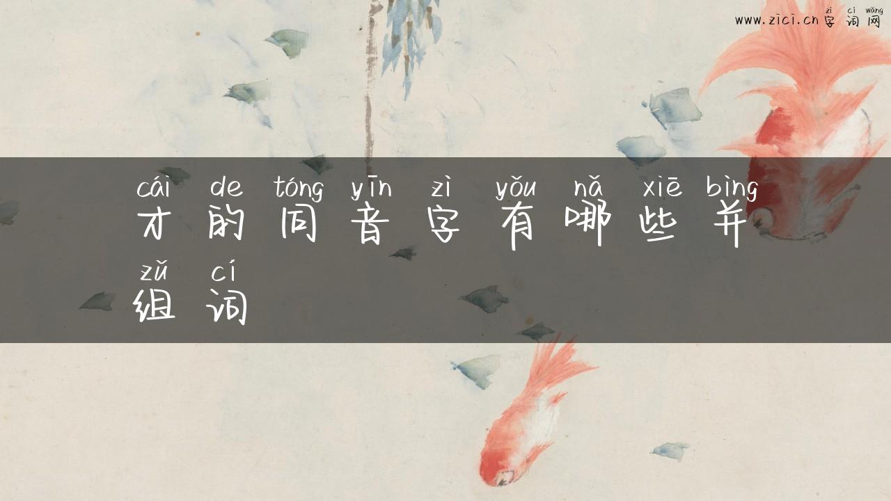 才的同音字有哪些并组词