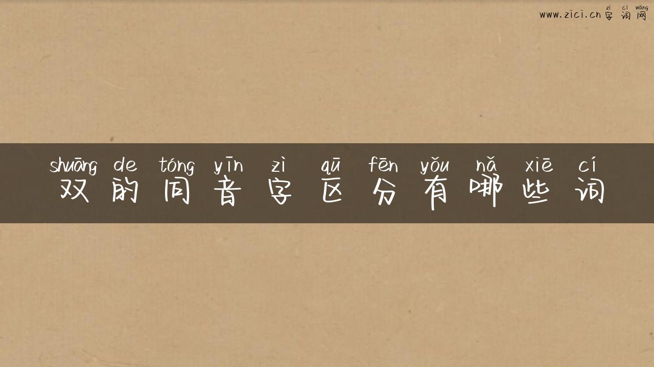 双的同音字区分有哪些词