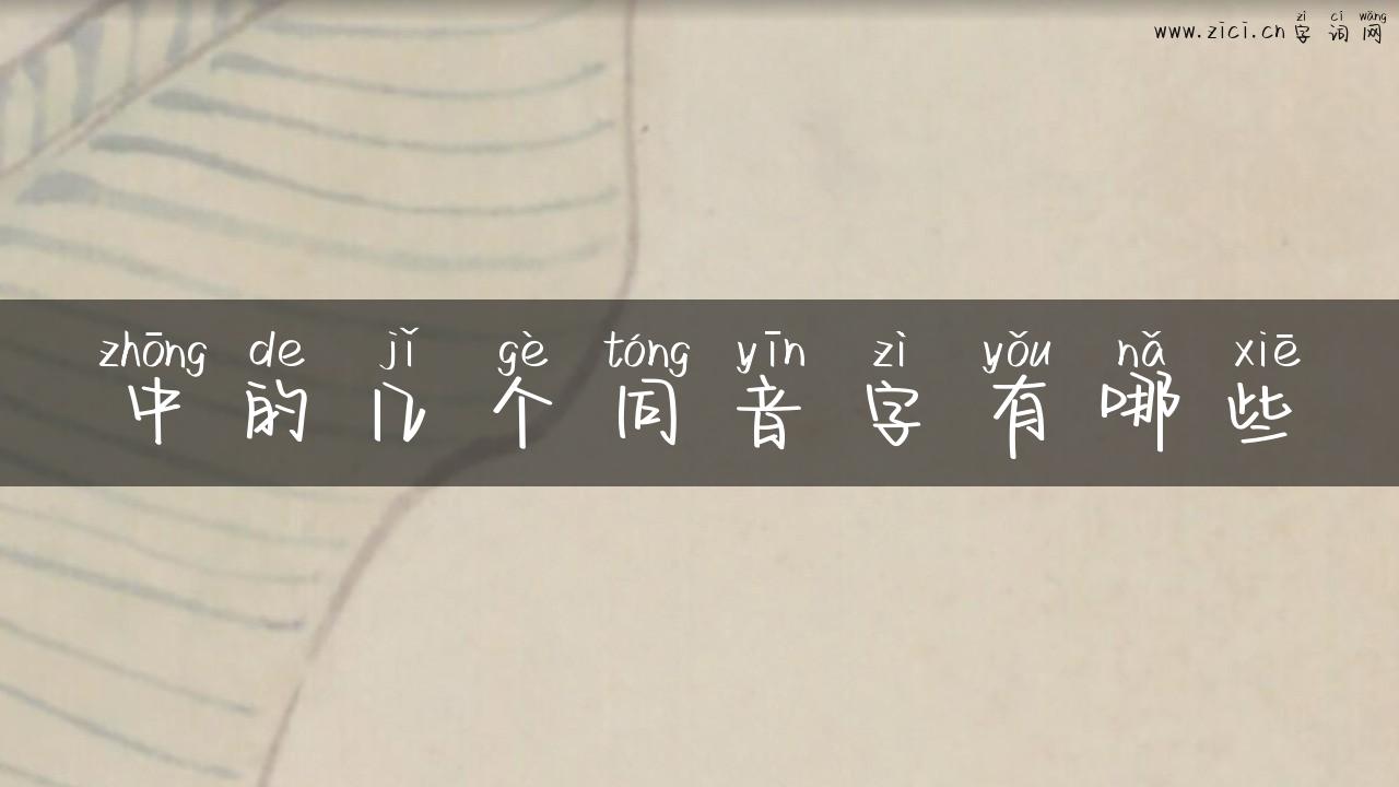 中的几个同音字有哪些