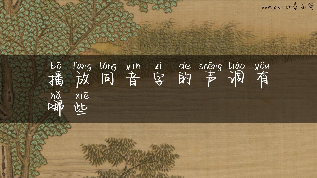播放同音字的声调有哪些