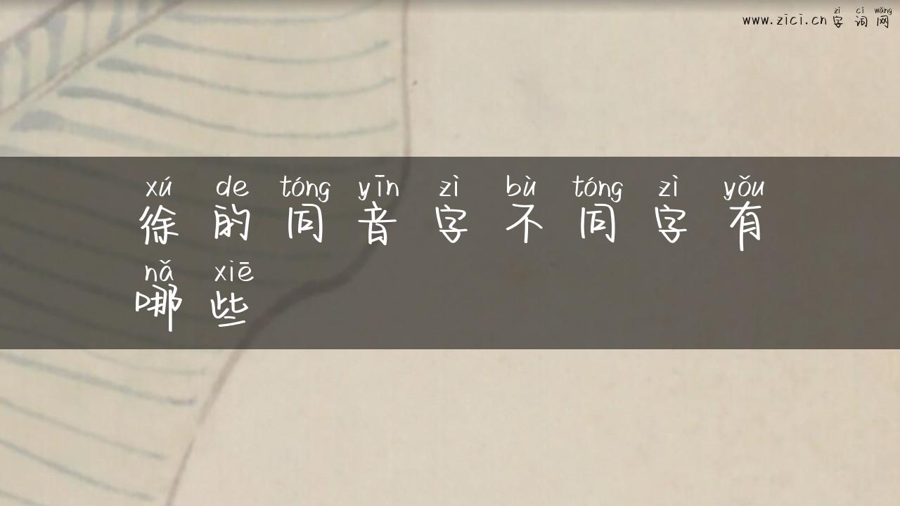 徐的同音字不同字有哪些