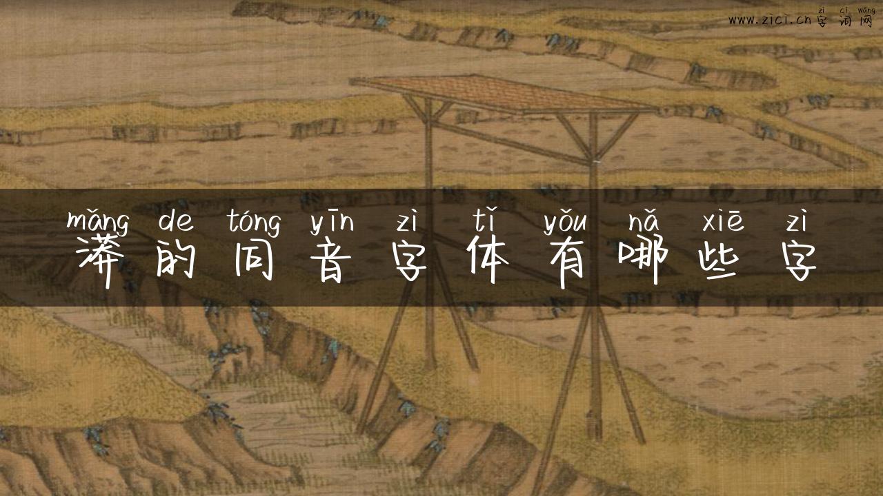 漭的同音字体有哪些字