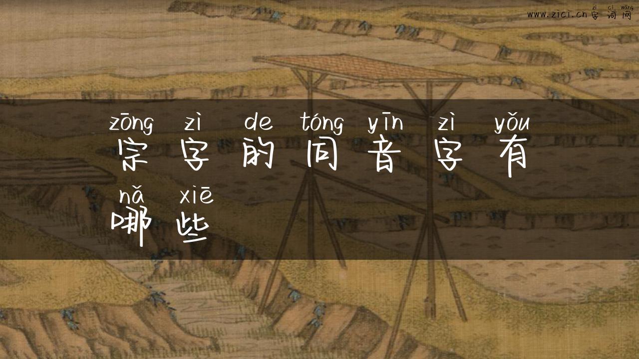 宗字的同音字有哪些