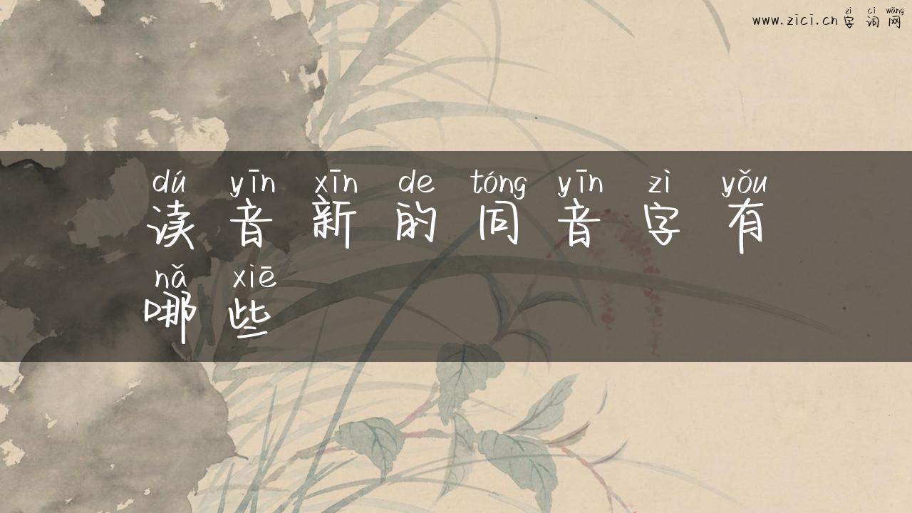 读音新的同音字有哪些