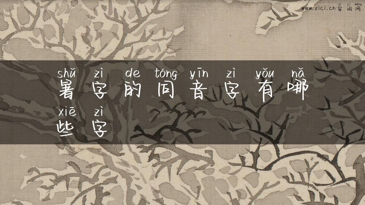 暑字的同音字有哪些字