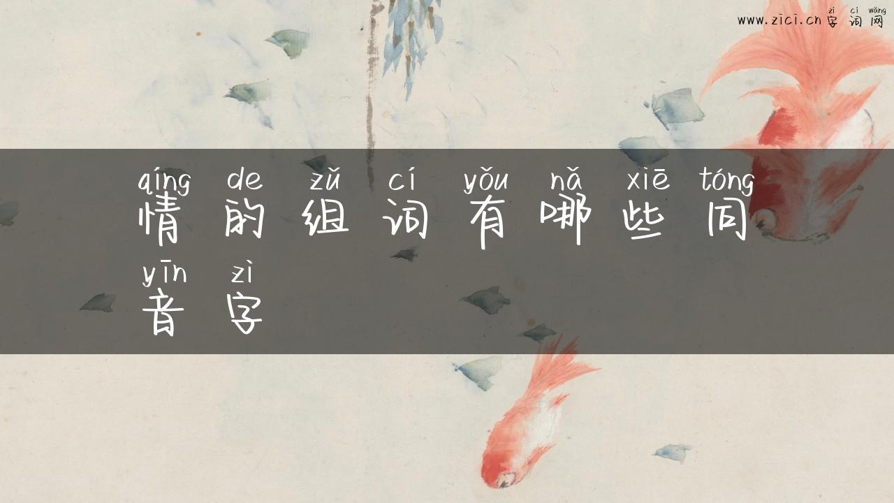 情的组词有哪些同音字