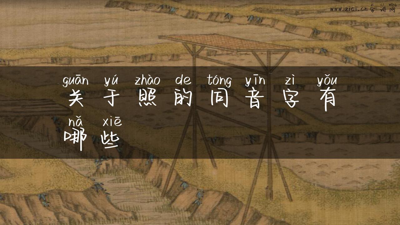 关于照的同音字有哪些