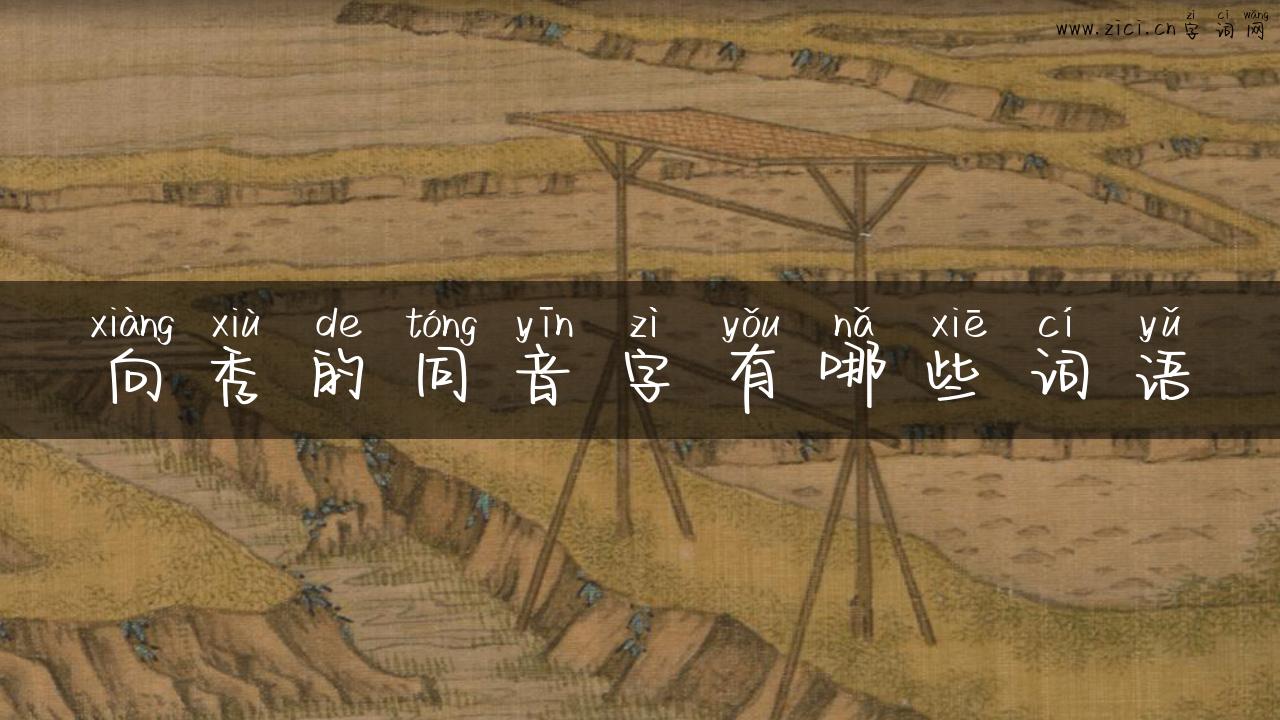 向秀的同音字有哪些词语