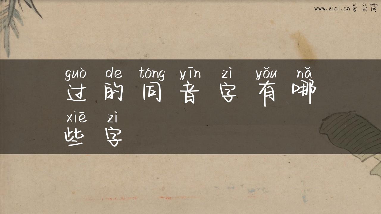 过的同音字有哪些字
