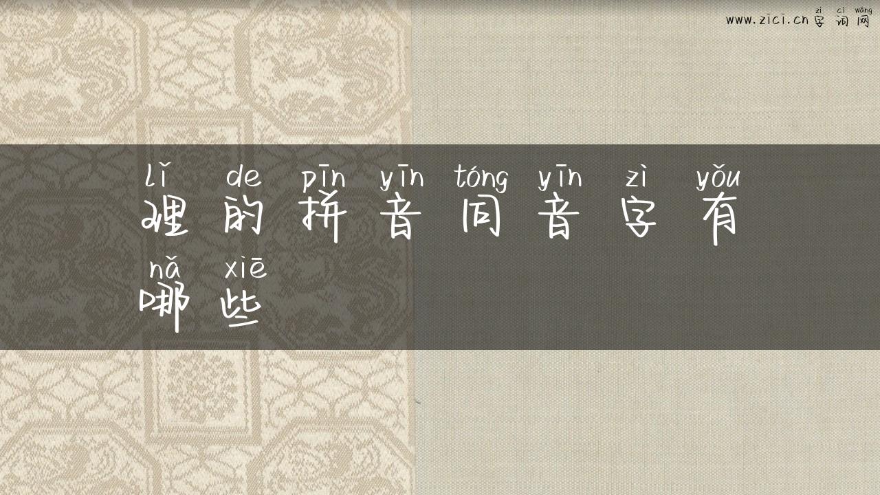理的拼音同音字有哪些
