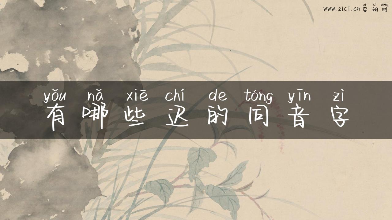 有哪些迟的同音字