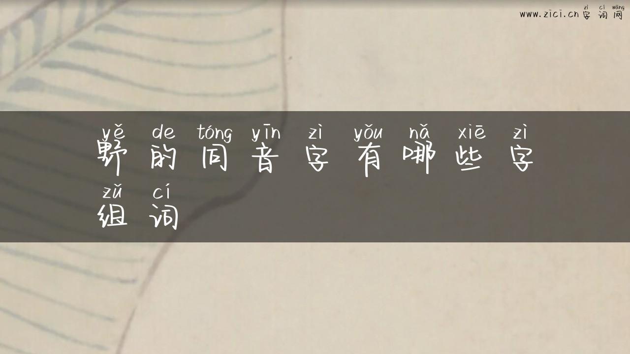 野的同音字有哪些字组词