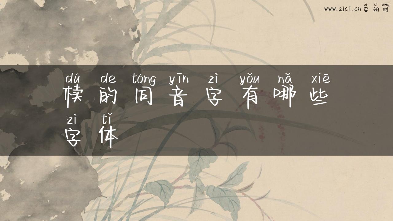 椟的同音字有哪些字体