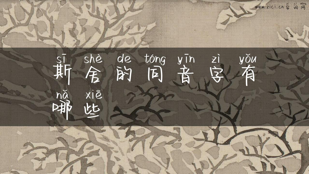 斯舍的同音字有哪些