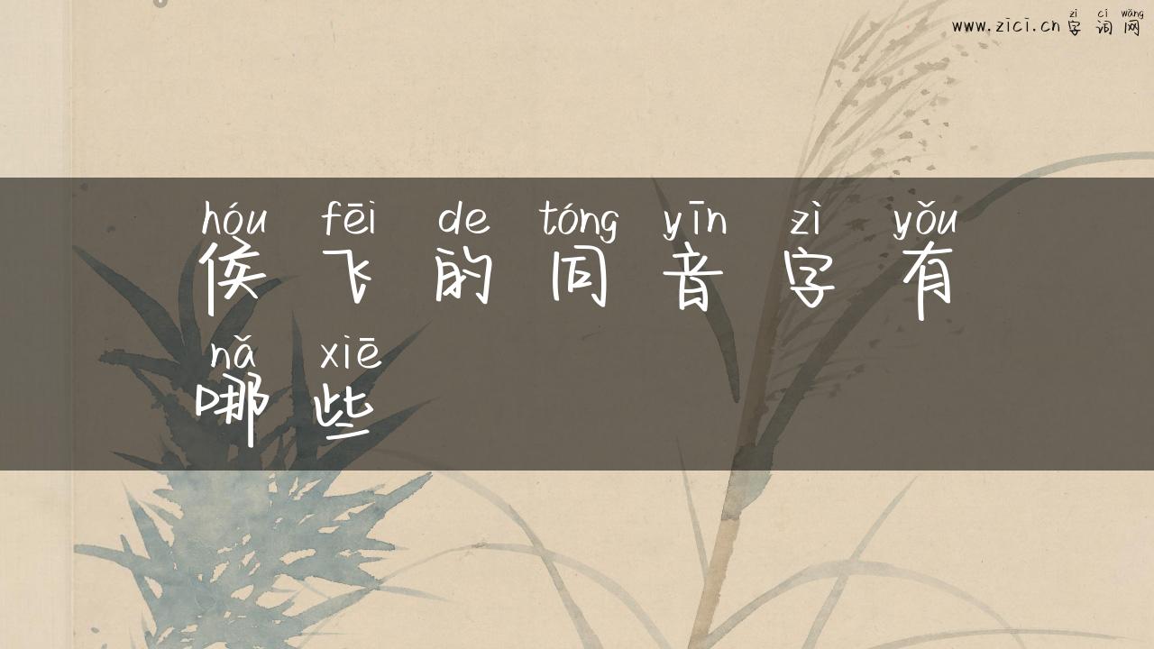 侯飞的同音字有哪些