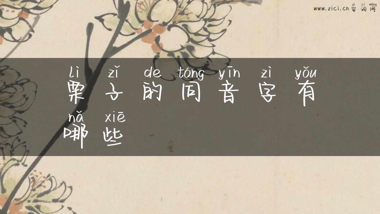 栗子的同音字有哪些