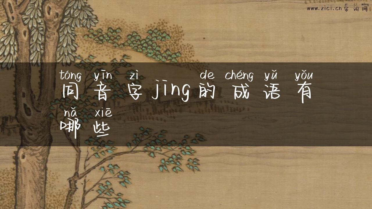 同音字jing的成语有哪些