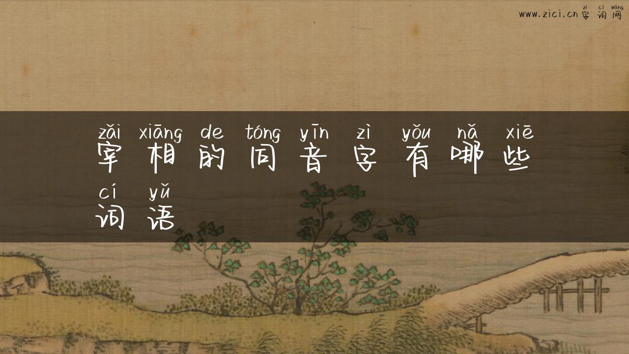 宰相的同音字有哪些词语