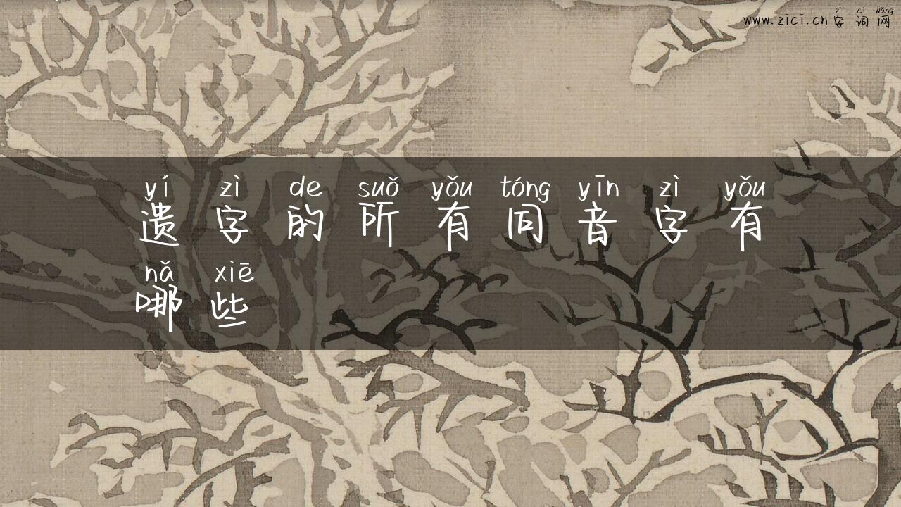 遗字的所有同音字有哪些
