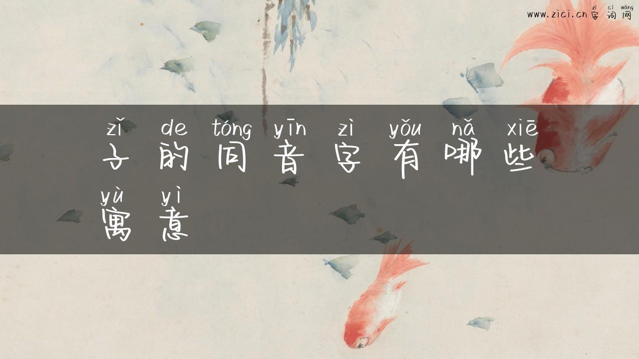 子的同音字有哪些寓意