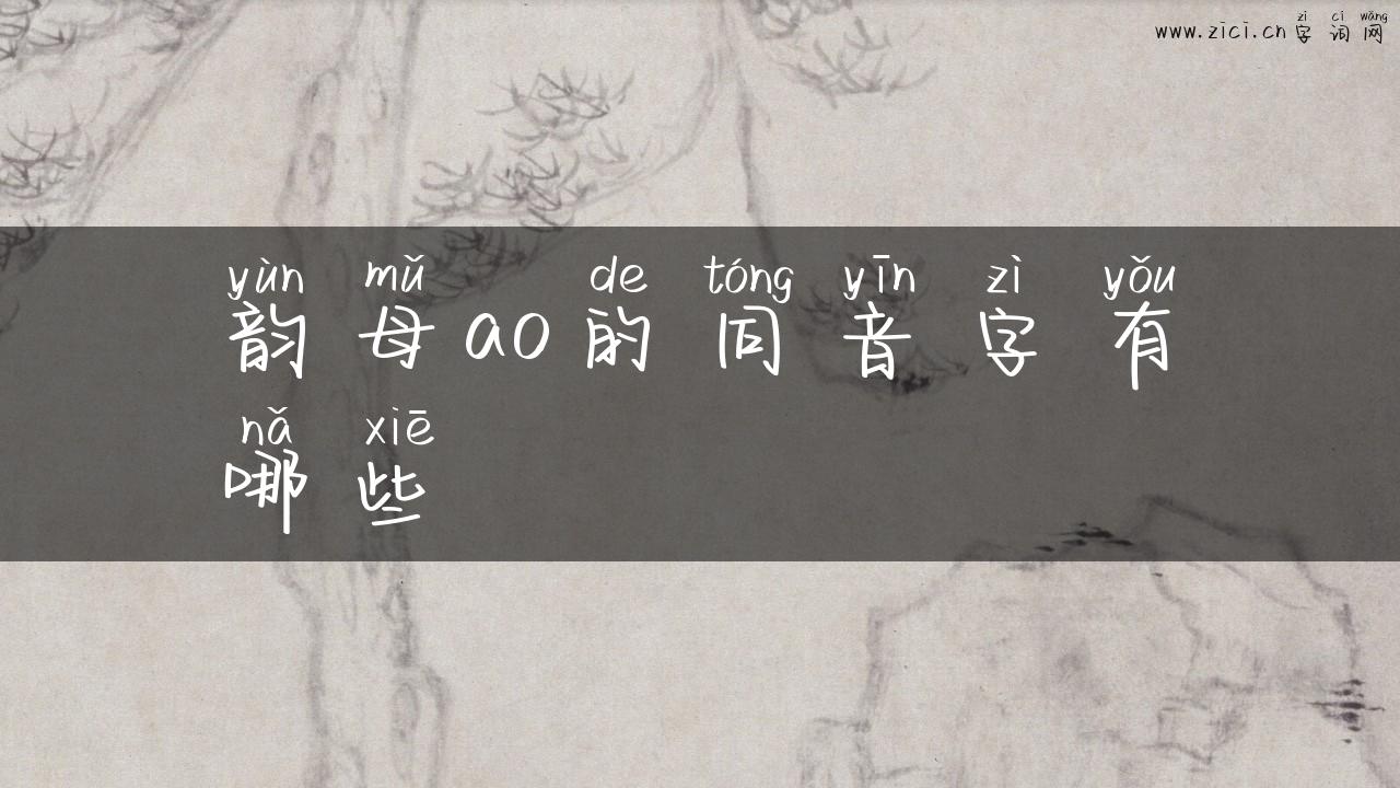 韵母ao的同音字有哪些