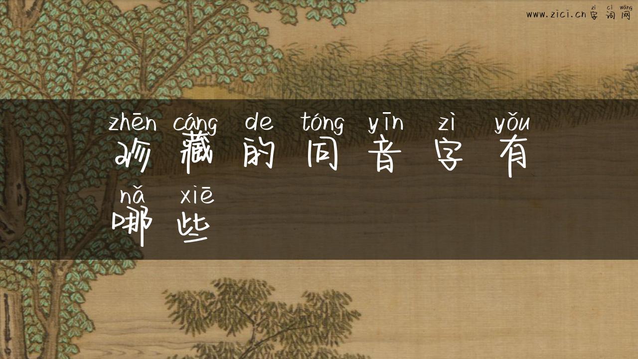 珍藏的同音字有哪些