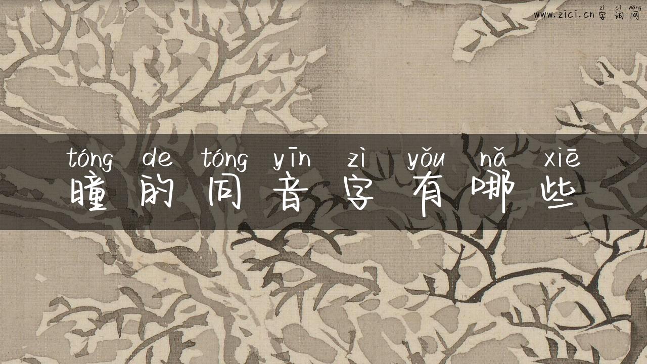 曈的同音字有哪些