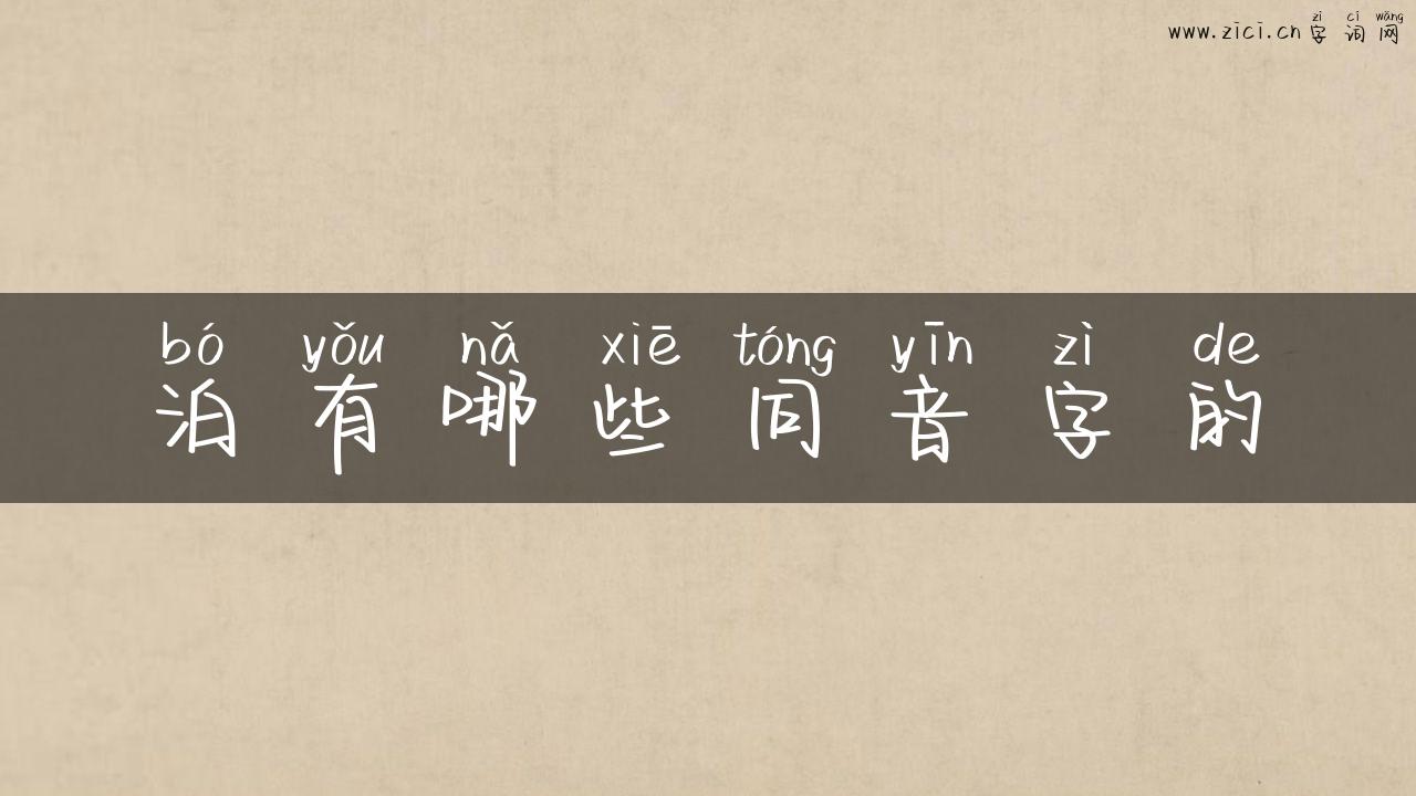 泊有哪些同音字的