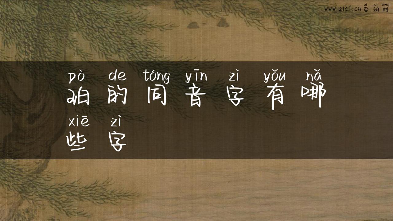 珀的同音字有哪些字