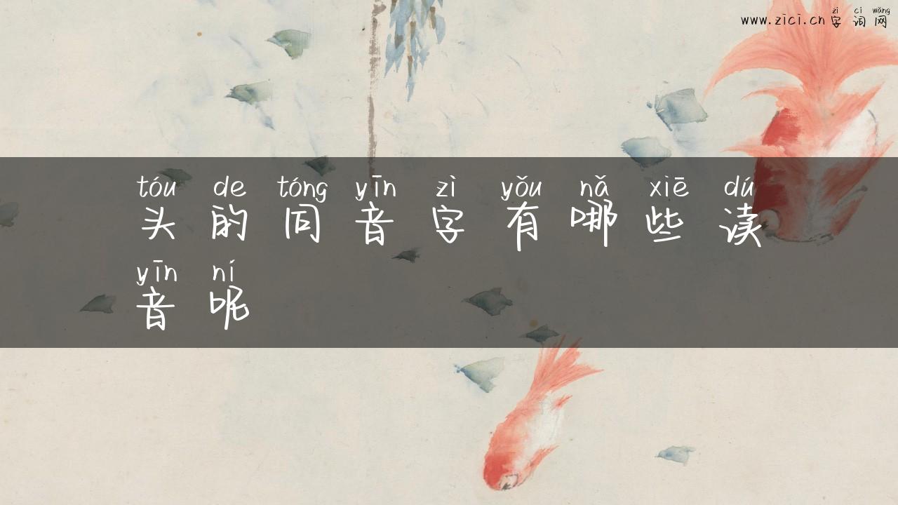 头的同音字有哪些读音呢