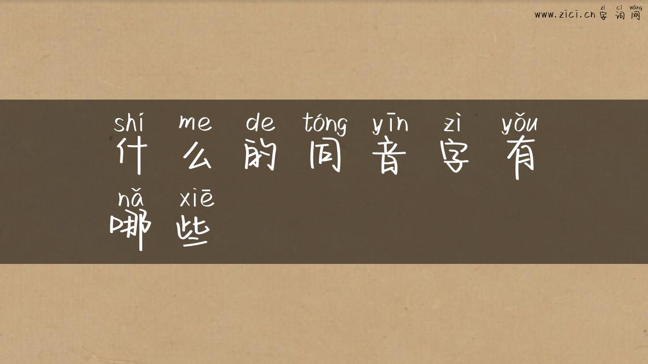 什么的同音字有哪些