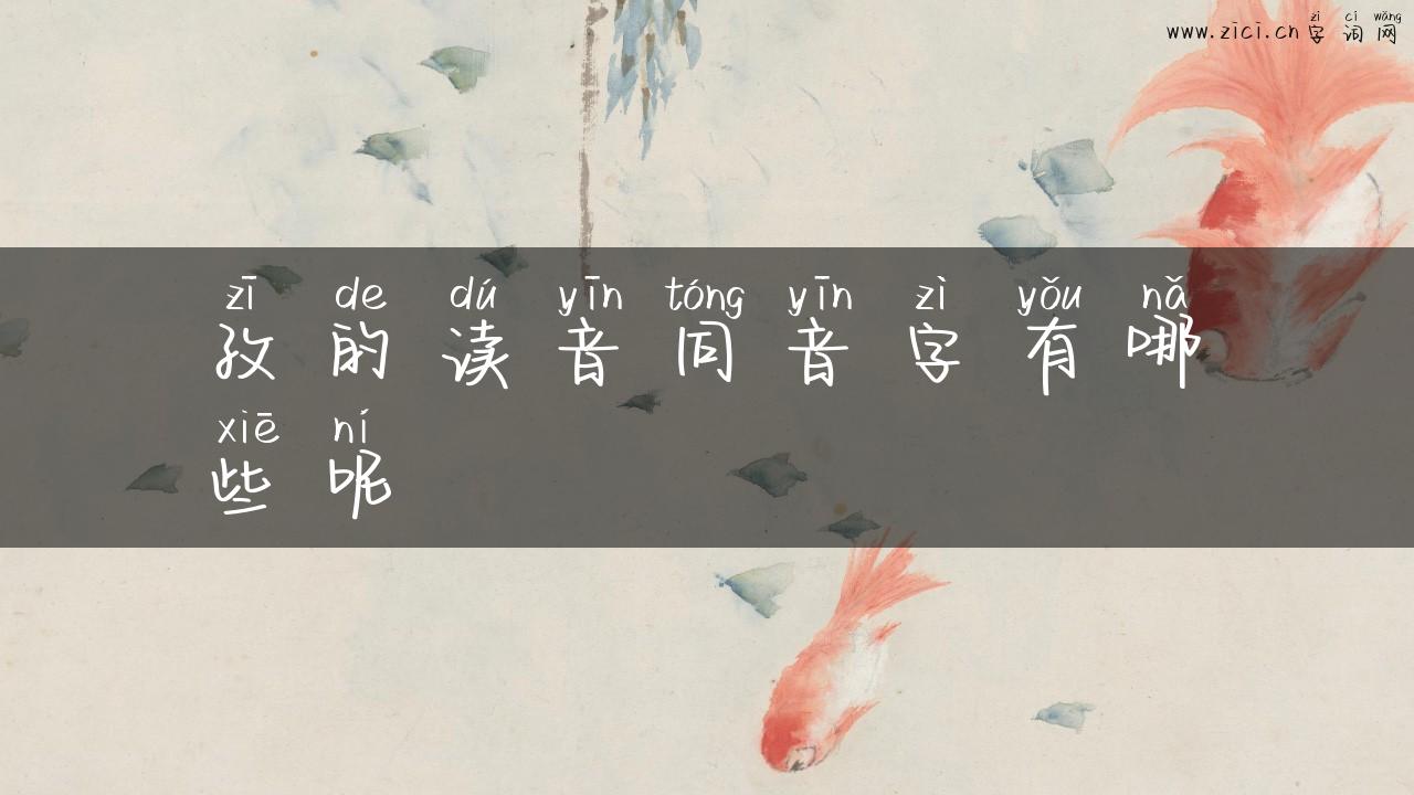 孜的读音同音字有哪些呢