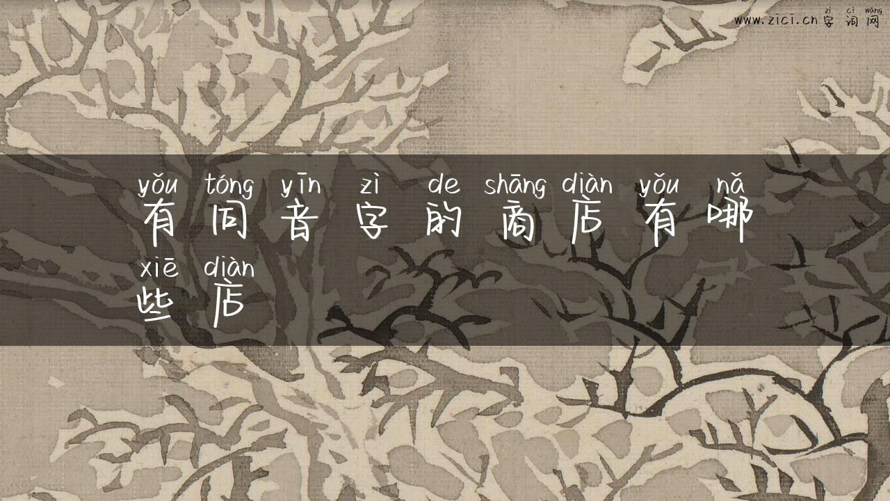 有同音字的商店有哪些店