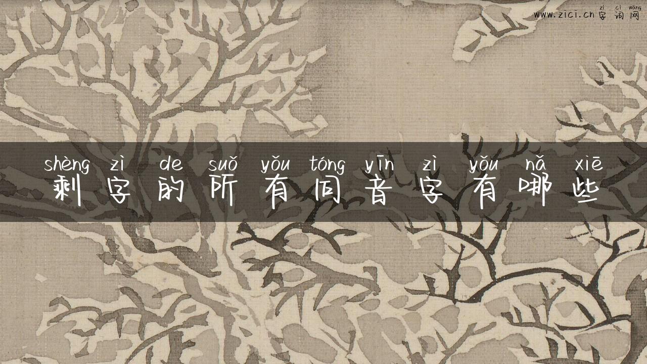 剩字的所有同音字有哪些