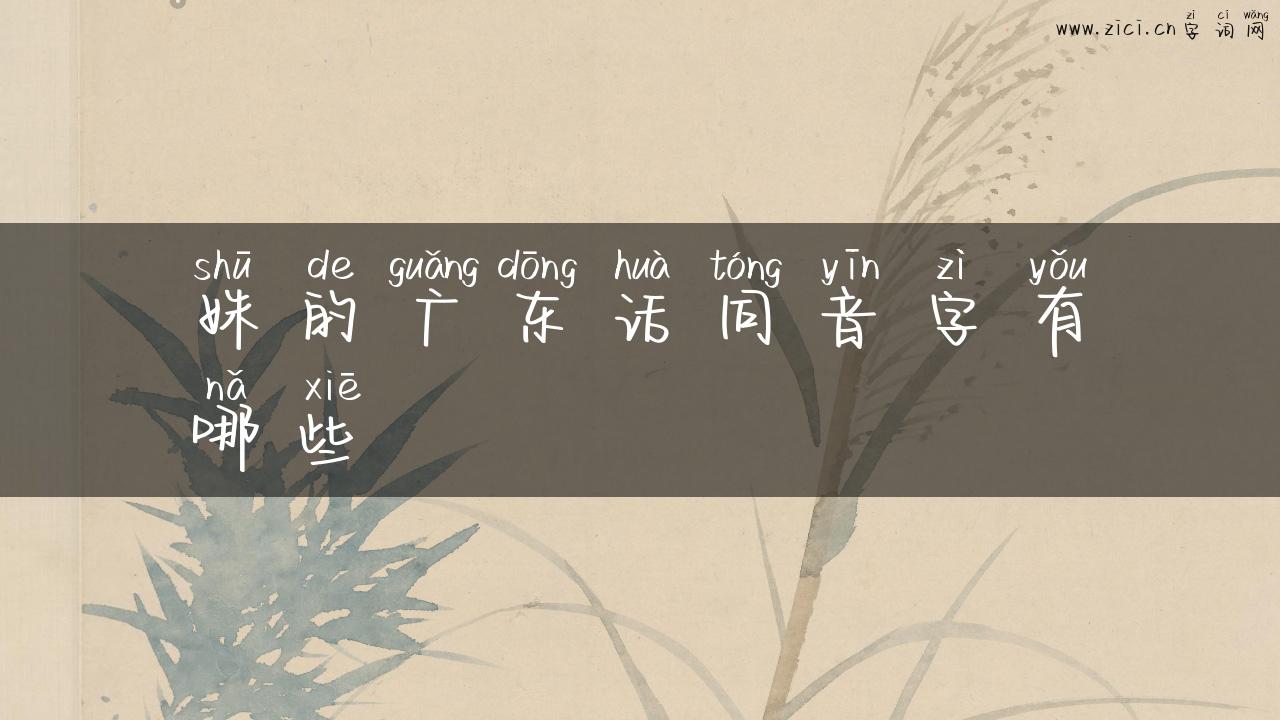 姝的广东话同音字有哪些