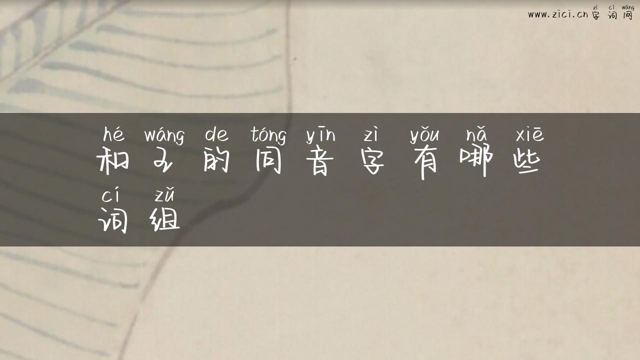 和王的同音字有哪些词组