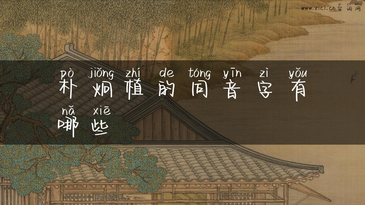 朴炯植的同音字有哪些