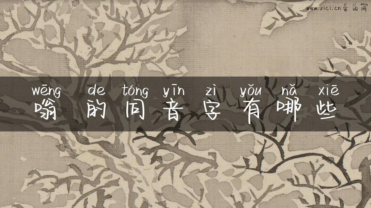 嗡 的同音字有哪些
