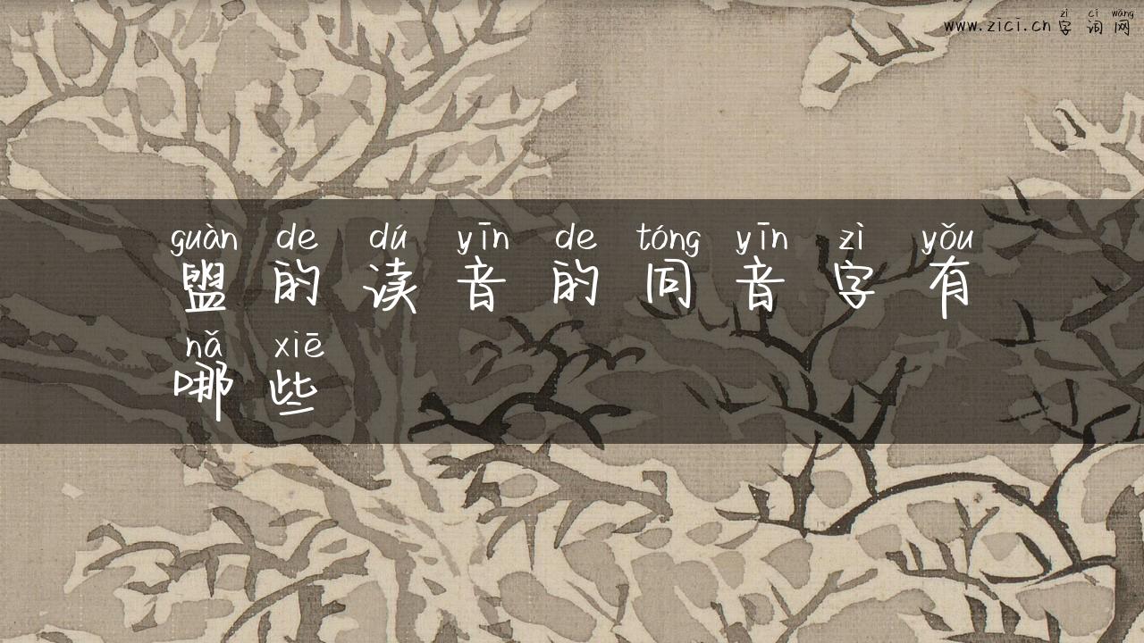 盥的读音的同音字有哪些