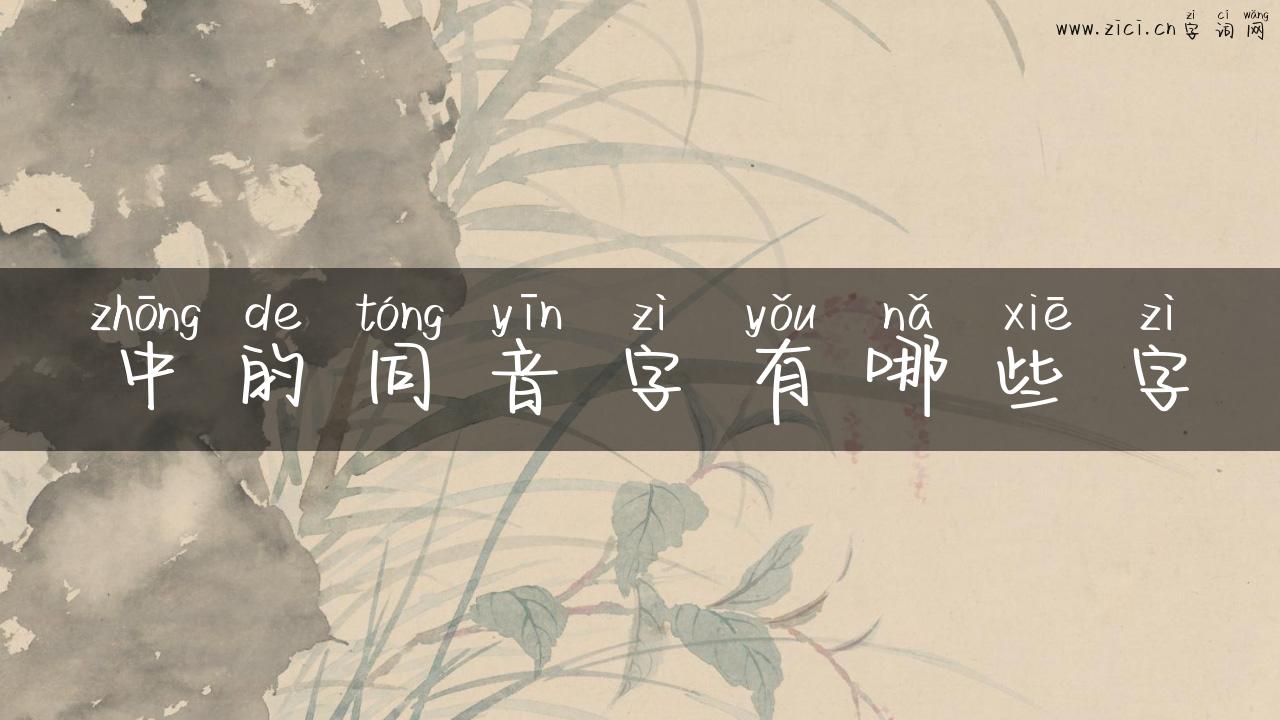 中的同音字有哪些字