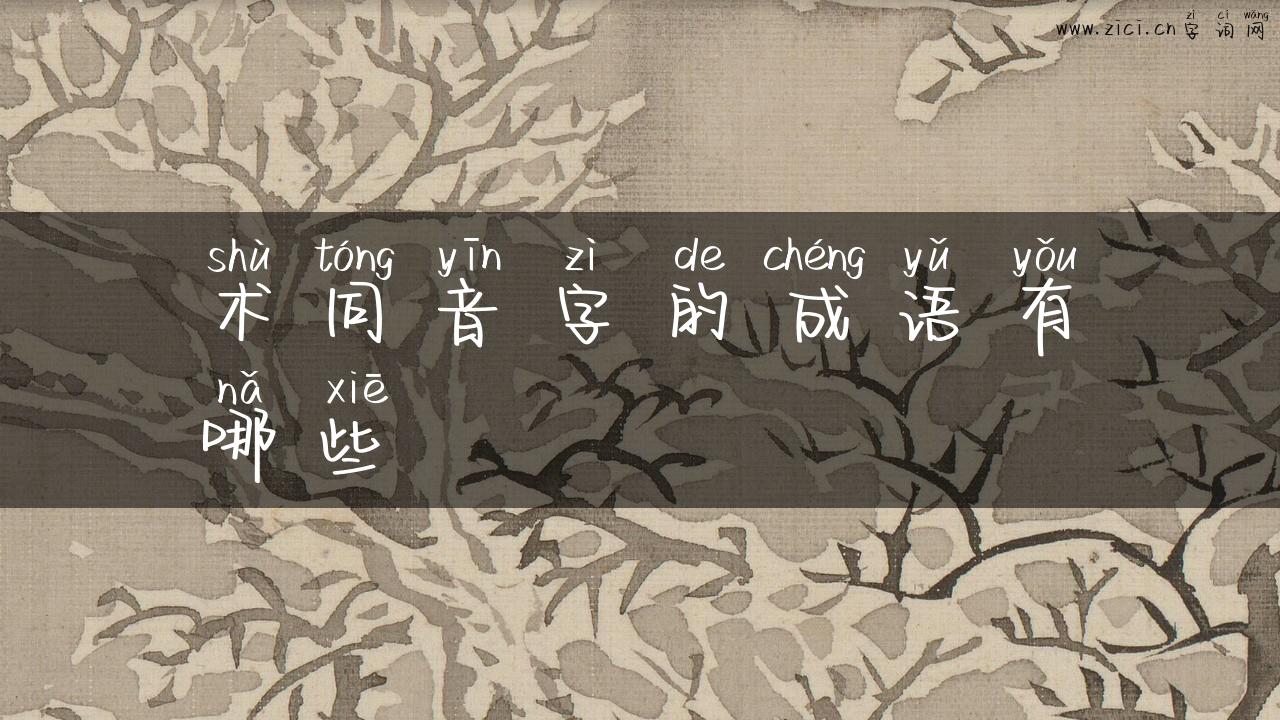 术同音字的成语有哪些