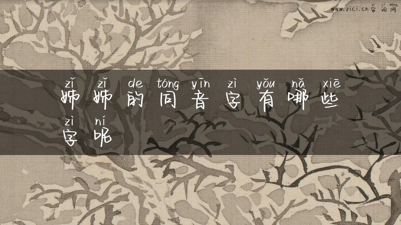 姊姊的同音字有哪些字呢