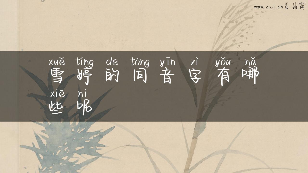雪婷的同音字有哪些呢