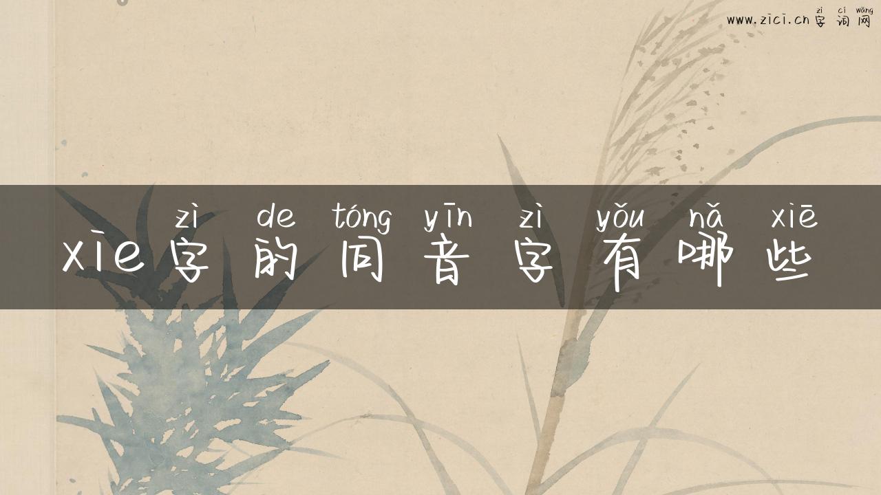 xie字的同音字有哪些