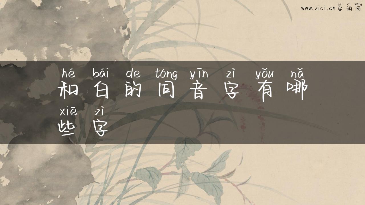 和白的同音字有哪些字