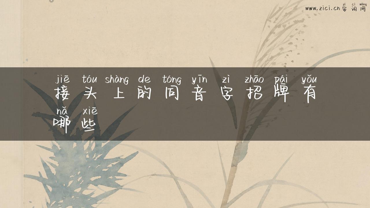 接头上的同音字招牌有哪些