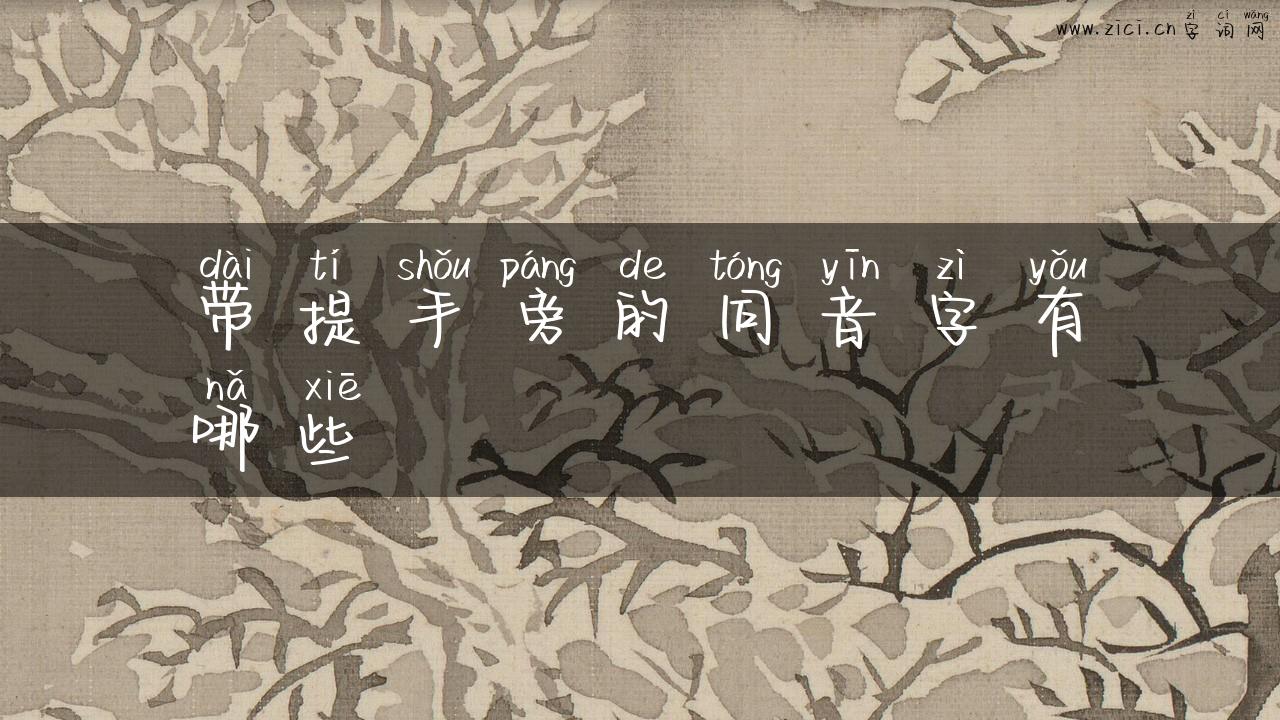 带提手旁的同音字有哪些