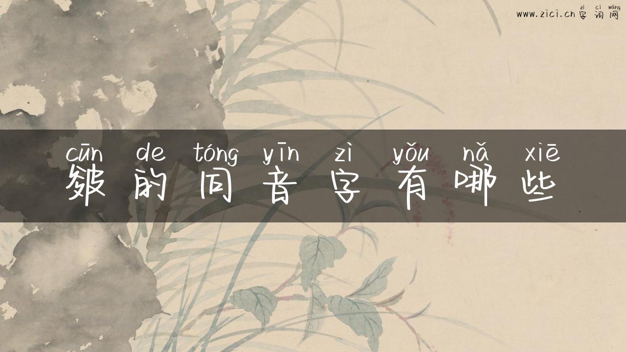 皴的同音字有哪些