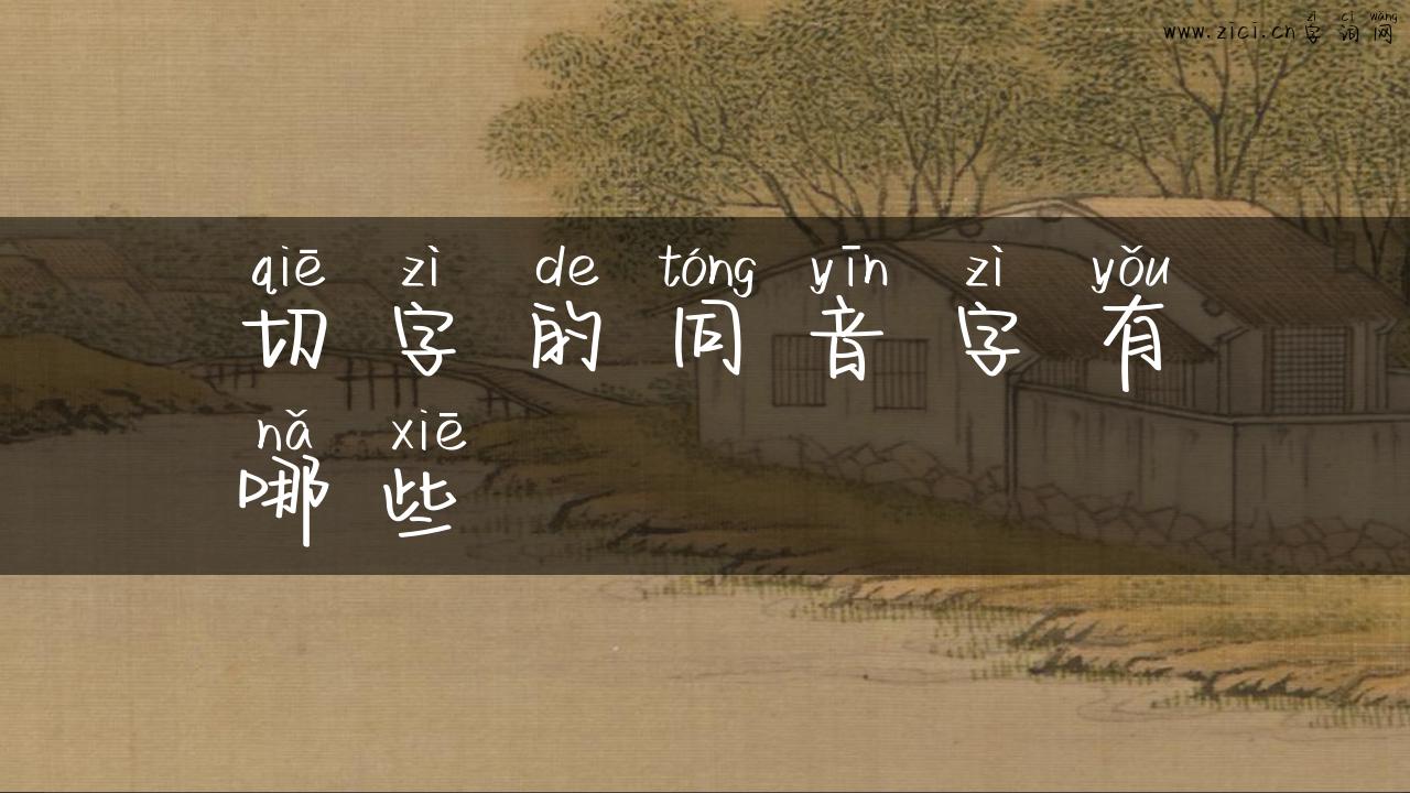 切字的同音字有哪些
