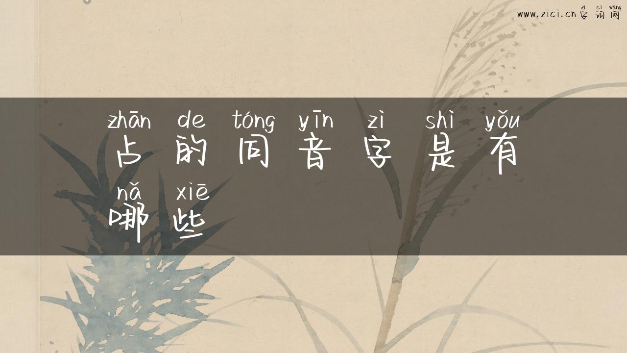 占的同音字是有哪些